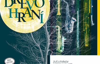 Holzspielen in Litvínov 2026