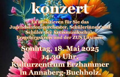 Koncert absolventů