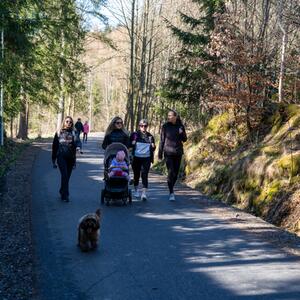 Jarní stopou kolem Hranic (a po Mockelbahn) #3