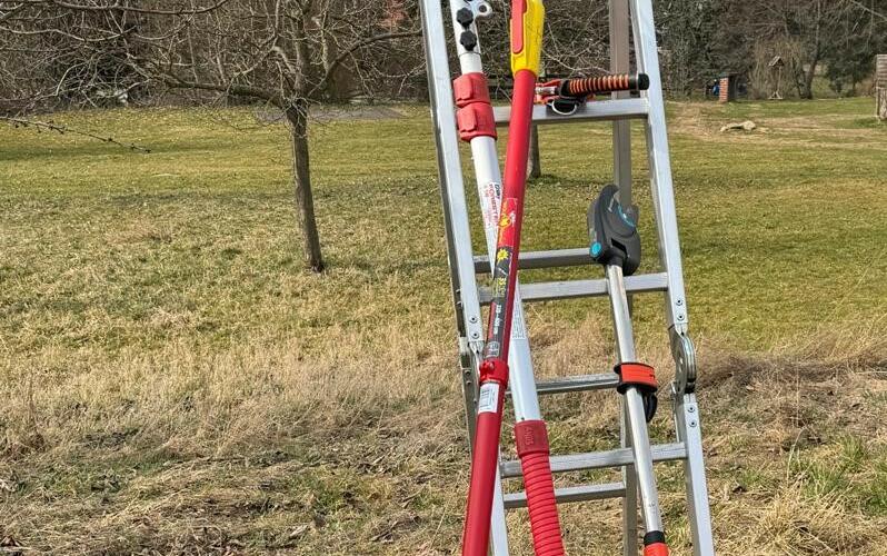 Seminar zum Obstbaumschnitt