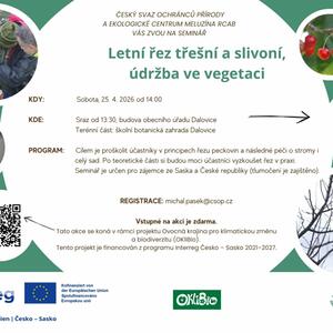 Seminar zum Sommerschnitt bei Kirschen und Zwetschgen #1