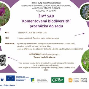 LEBENDE STREUOBSTWIESE - Geführter Biodiversitätsspaziergang in einer Obstwiese #1