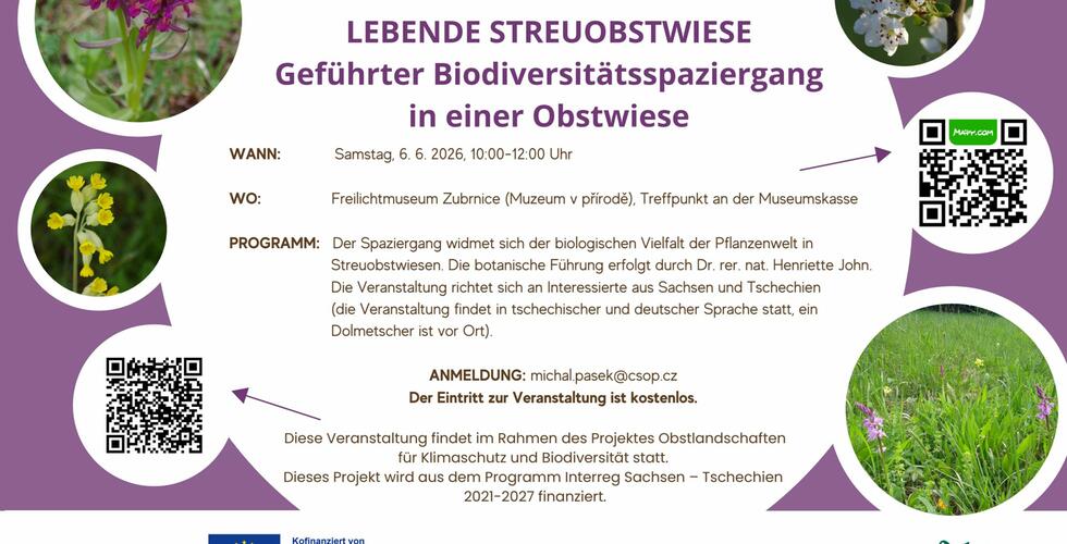 LEBENDE STREUOBSTWIESE - Geführter Biodiversitätsspaziergang in einer Obstwiese