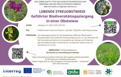 LEBENDE STREUOBSTWIESE - Geführter Biodiversitätsspaziergang in einer Obstwiese