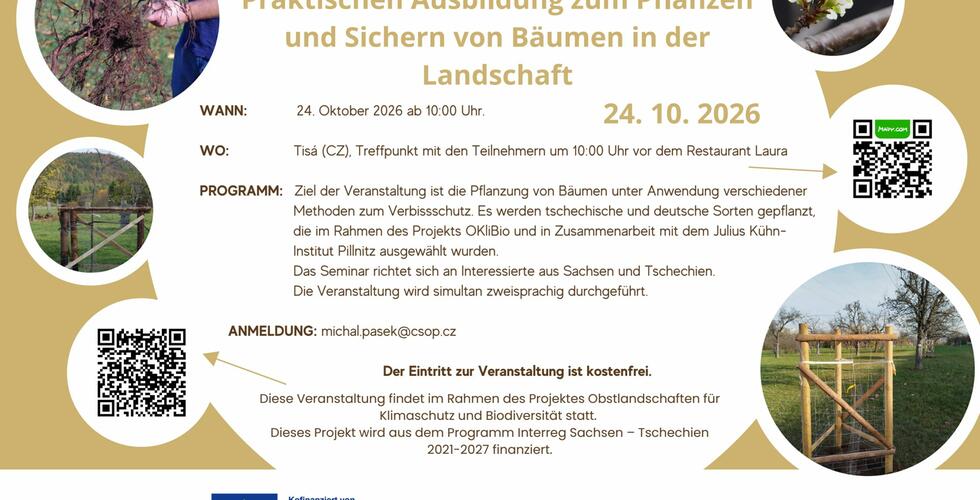 Praktische Ausbildung zum Pflanzen und Sichern von Bäumen in der Landschaft