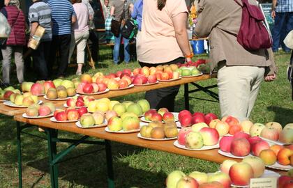 Streuobstwiesenfest