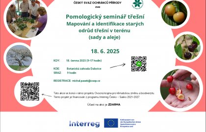 Pomologie - Seminar Kirschen