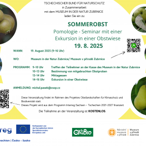 SOMMEROBST - Pomologie - Seminar mit einer Exkursion in einer Obstwiese #1