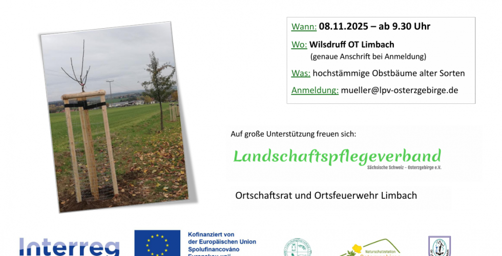 Výsadba stromů za účelem zachování ovocné aleje