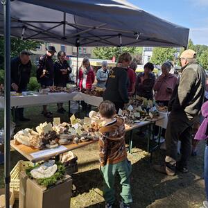Regionalmarkt #1