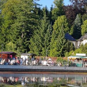 Sommeridyll am Teich #2