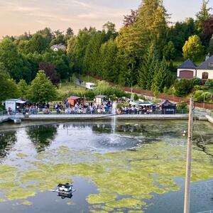 Sommeridyll am Teich #3