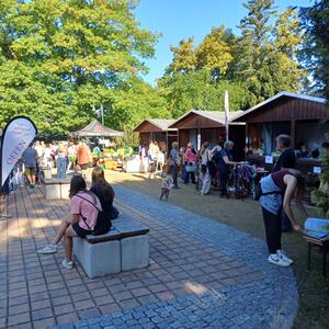 Regionalmarkt #4