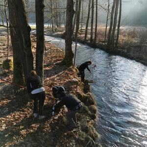 Na cestě v pohraniční oblasti mezi Saským Švýcarskem a Českým Švýcarskem #4