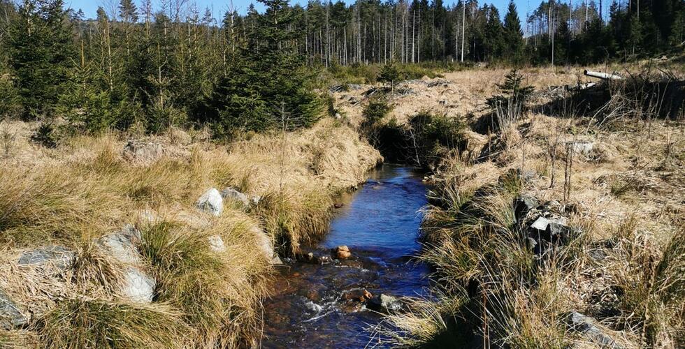 Na cestě v pohraniční oblasti mezi Saským Švýcarskem a Českým Švýcarskem