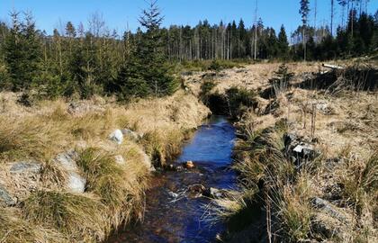 Unterwegs im Grenzgebiet Sächsische Schweiz – Böhmische Schweiz