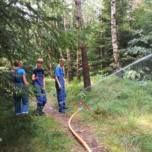 Projekt mit Grundschule/Kindergarten „Waldbrandprävention“ #4