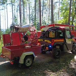Společné školení na téma „Hašení požárů v prostorách s rizikem pádu“ a společné cvičení „K zásahům proti lesnímu požáru včetně dálkové dopravy vody lesem, nepřístupným terénem na Katzsteinu“ #3