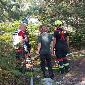 Společné školení na téma „Hašení požárů v prostorách s rizikem pádu“ a společné cvičení „K zásahům proti lesnímu požáru včetně dálkové dopravy vody lesem, nepřístupným terénem na Katzsteinu“ #4