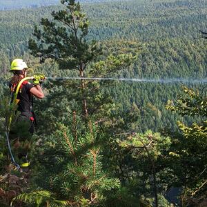 Společné školení na téma „Hašení požárů v prostorách s rizikem pádu“ a společné cvičení „K zásahům proti lesnímu požáru včetně dálkové dopravy vody lesem, nepřístupným terénem na Katzsteinu“ #5