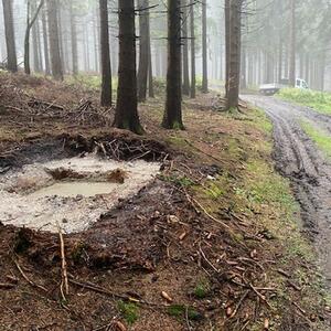 Realizace zážitkové turistické trasy „Smrčíkova stezka“ #4