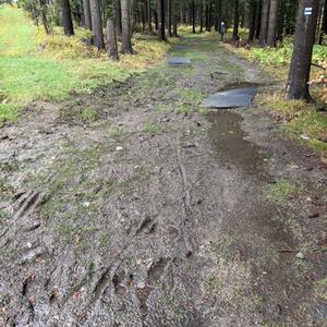 Otevření „Smrčíkovy zážitkové stezky“ - akce zrušena #1