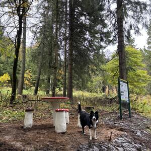 Otevření „Smrčíkovy zážitkové stezky“ - akce zrušena #2