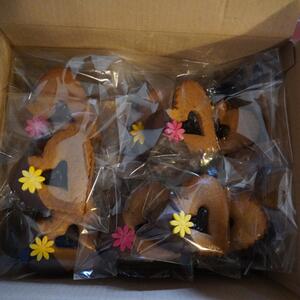 Grundschule Lidická Hrádek nad Nisou, Mehrtägiger Aufenthalt der Klasse 9A - September 2025 #6