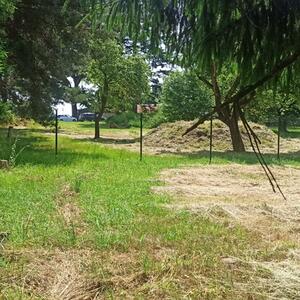Feierliche Eröffnung des Verkehrsspielplatz und des Nutzgartens #5