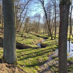 Měřící kampaň ve Šluknově #5