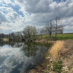 Odborná výměna zkušeností se Saskou správou přehrad (LTV) u poldru Friedrichswalde-Ottendorf #4