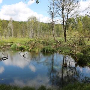 Start des Monitoring-Programms in Lobendava #6