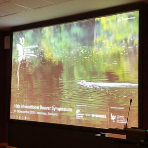 BIBOB beim 10. Internationalen Biber-Symposium in Inverness #3