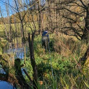 Messkampagne am Liščí potok #4