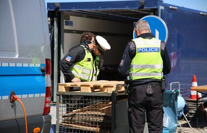 Verkehrskontrolle