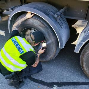 Verkehrskontrolle (Großkontrolle) #3