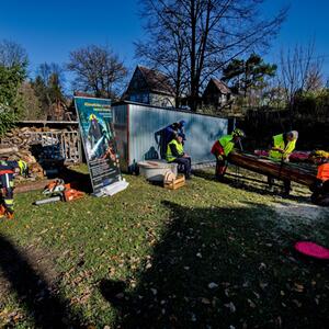 Fortbildung 1 – Arbeit mit der Motorsäge #4