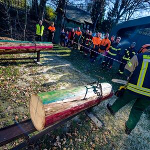 Fortbildung 1 – Arbeit mit der Motorsäge #5