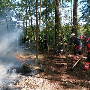 Gemeinsame Übung zum Thema Maßnahmen gegen Waldbrände einschließlich Fernwassertransport durch den Wald, unzugängliches Gelände #3