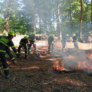 Gemeinsame Übung zum Thema Maßnahmen gegen Waldbrände einschließlich Fernwassertransport durch den Wald, unzugängliches Gelände #4