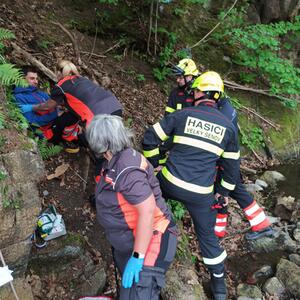 Rettung von Personen einschließlich Transport aus schwierigem Waldgelände; #3