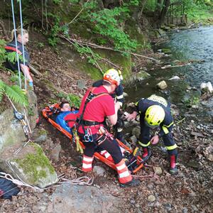 Rettung von Personen einschließlich Transport aus schwierigem Waldgelände; #4