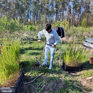Společné zapuštění kořenů: 2 000 stromů pro region a přátelství #3