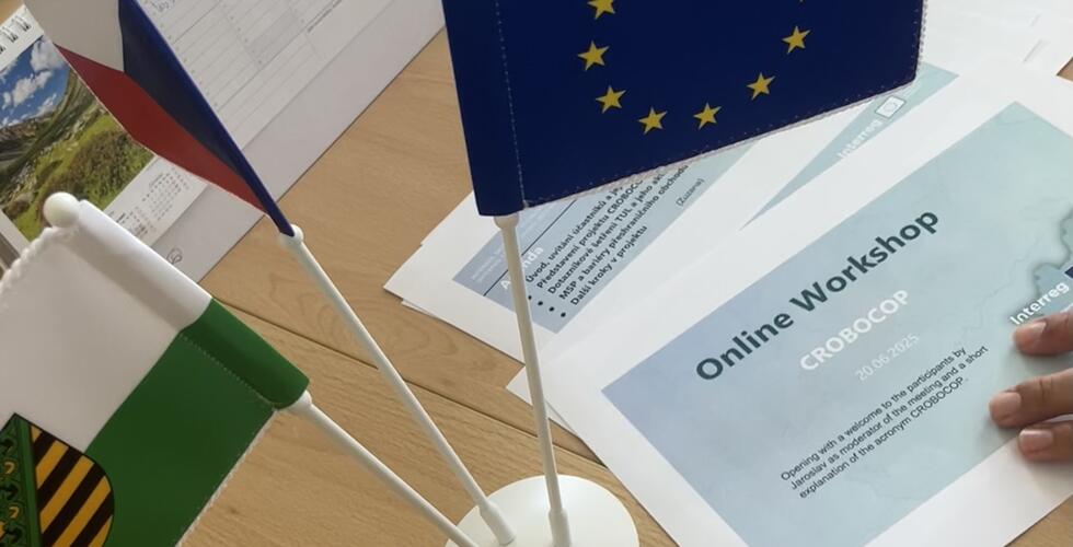 1. Online Workshop
