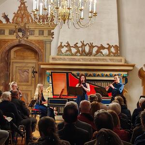 Con spirito – komorní hudba o Vánocích: Bach, Zelenka, Mozart #2 | Copyright: Kateryna Vdovchenko