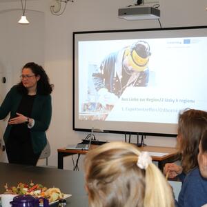 1. setkání odborníků #1