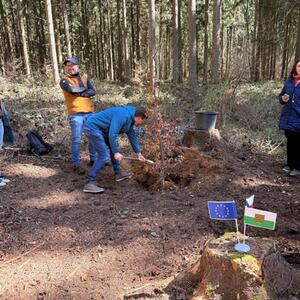 Auftaktveranstaltung LowRiskForest mit Waldbegehung in Annaberg-Buchholz #1 | Copyright: Große Kreisstadt Annaberg-Buchholz