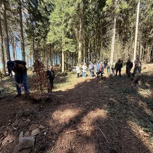 Auftaktveranstaltung LowRiskForest mit Waldbegehung in Annaberg-Buchholz #2 | Copyright: Große Kreisstadt Annaberg-Buchholz