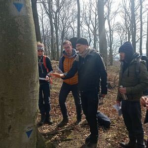 Výběr habitatových stromů