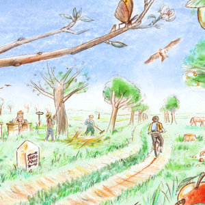 OKliBio-Projektillustration | Copyright: Nicolaas Bongaerts, IOER Media